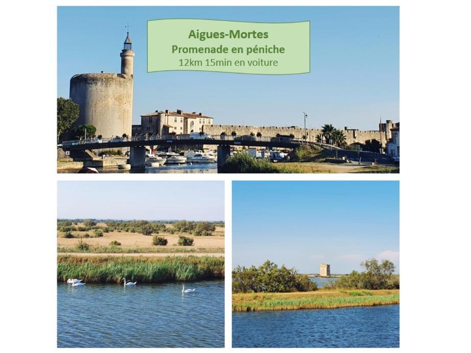 L'Olympe Vue Lac Parking Clim Wifi - Rossiconciergerie - Linge Inclus La Grande Motte Dış mekan fotoğraf